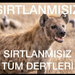 efsane-sirtlan-cumleleri-b2xob.png